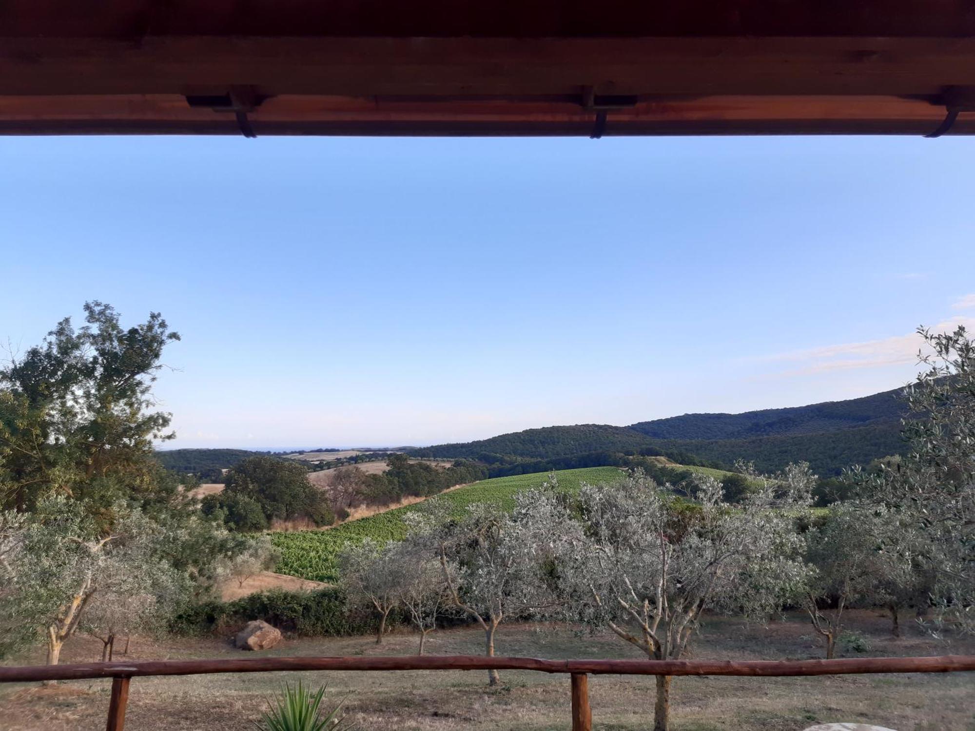 Agriturismo Colleverde Capalbio Quarto foto